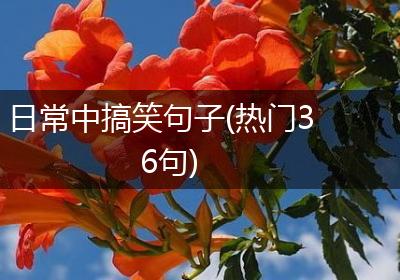 日常中搞笑句子(热门36句)