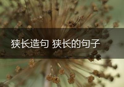 狭长造句 狭长的句子