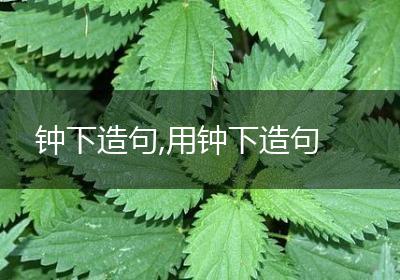 钟下造句,用钟下造句