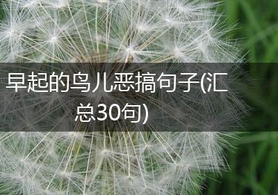 早起的鸟儿恶搞句子(汇总30句)
