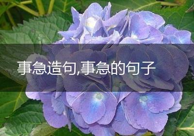 事急造句,事急的句子