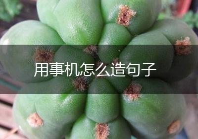 用事机怎么造句子