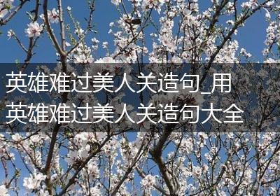 英雄难过美人关造句_用英雄难过美人关造句大全