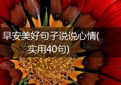 早安美好句子说说心情(实用40句)