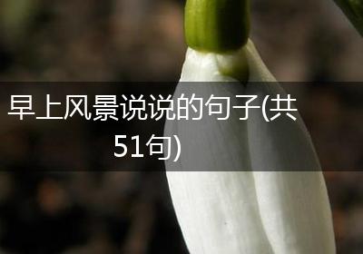 早上风景说说的句子(共51句)