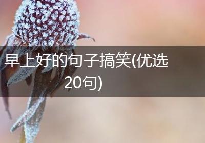 早上好的句子搞笑(优选20句)