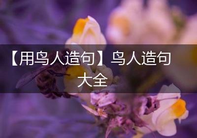 【用鸟人造句】鸟人造句大全