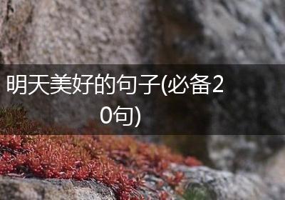 明天美好的句子(必备20句)