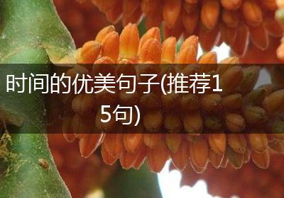 时间的优美句子(推荐15句)