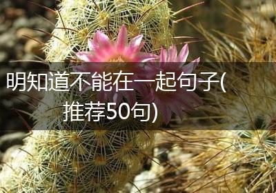 明知道不能在一起句子(推荐50句)