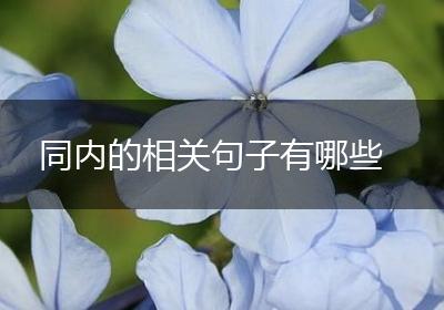 同内的相关句子有哪些