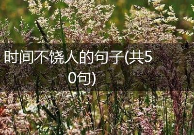 时间不饶人的句子(共50句)