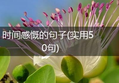 时间感慨的句子(实用50句)