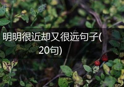 明明很近却又很远句子(20句)