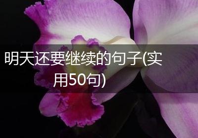 明天还要继续的句子(实用50句)