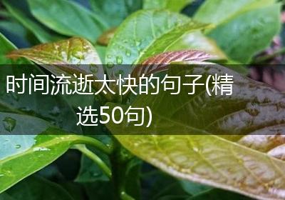 时间流逝太快的句子(精选50句)