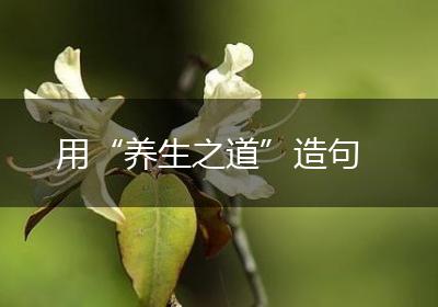 用“养生之道”造句