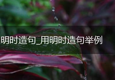 明时造句_用明时造句举例