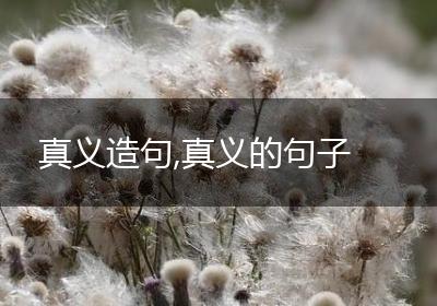 真义造句,真义的句子