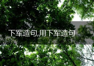 下军造句,用下军造句