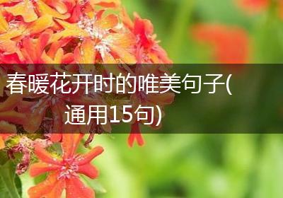 春暖花开时的唯美句子(通用15句)