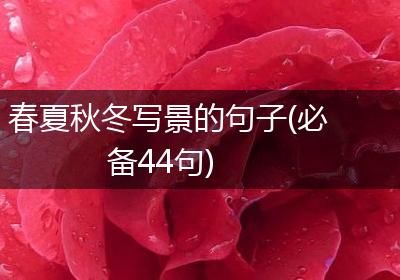 春夏秋冬写景的句子(必备44句)