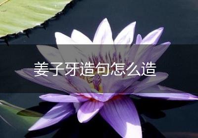 姜子牙造句怎么造