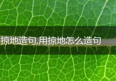 掠地造句,用掠地怎么造句