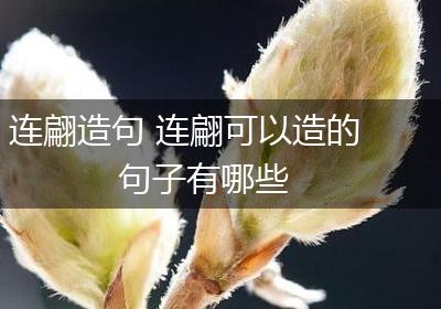 连翩造句 连翩可以造的句子有哪些