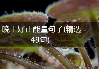 晚上好正能量句子(精选49句)