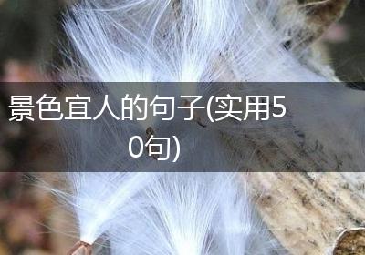 景色宜人的句子(实用50句)