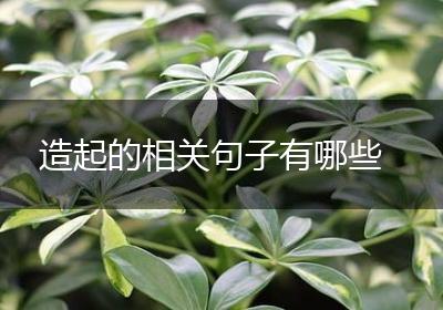 造起的相关句子有哪些