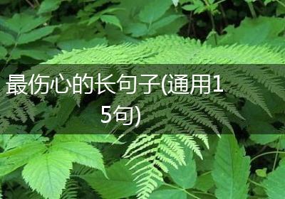 最伤心的长句子(通用15句)