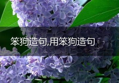 笨狗造句,用笨狗造句