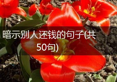 暗示别人还钱的句子(共50句)