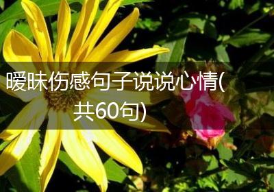 暧昧伤感句子说说心情(共60句)