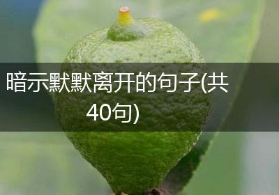暗示默默离开的句子(共40句)
