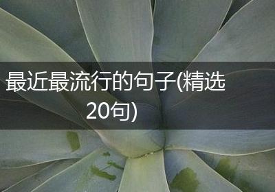 最近最流行的句子(精选20句)