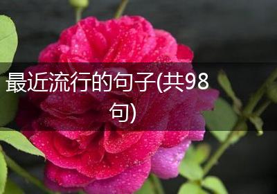 最近流行的句子(共98句)