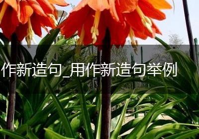 作新造句_用作新造句举例