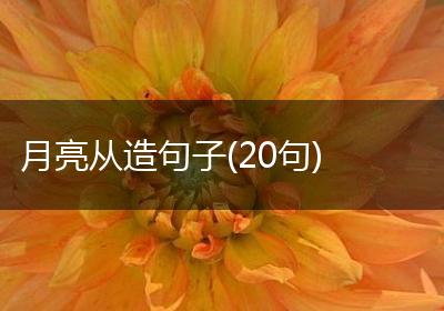 月亮从造句子(20句)