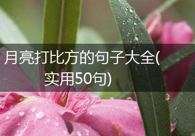 月亮打比方的句子大全(实用50句)