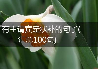 有主谓宾定状补的句子(汇总100句)