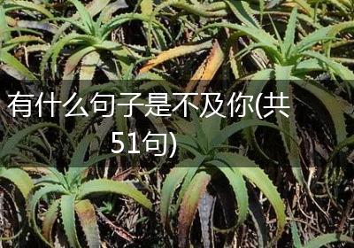 有什么句子是不及你(共51句)
