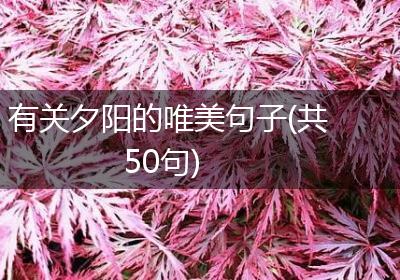 有关夕阳的唯美句子(共50句)