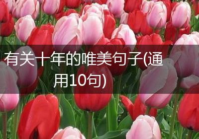 有关十年的唯美句子(通用10句)