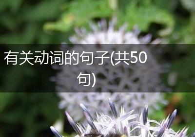 有关动词的句子(共50句)