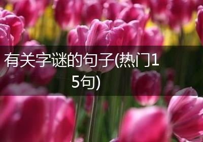 有关字谜的句子(热门15句)