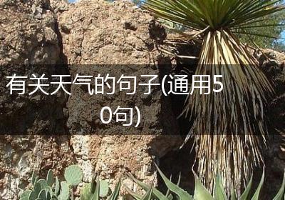 有关天气的句子(通用50句)