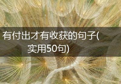 有付出才有收获的句子(实用50句)